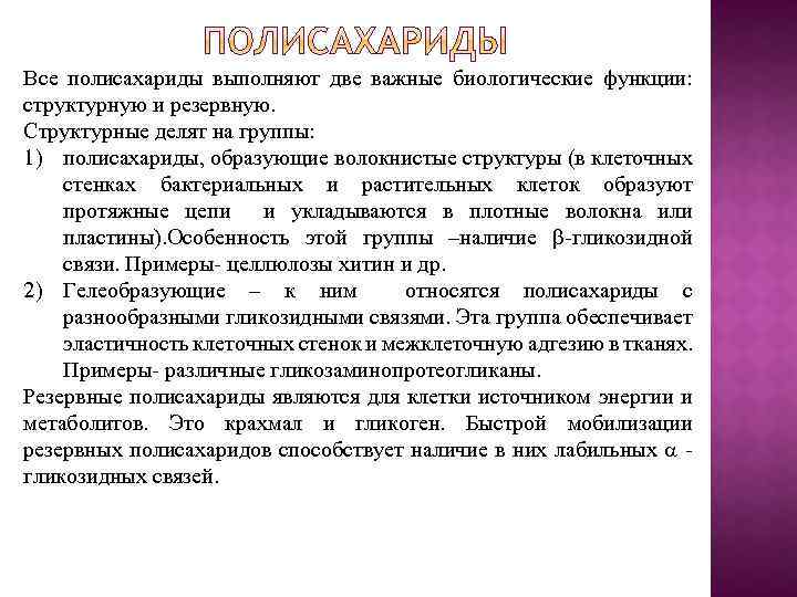 Все полисахариды выполняют две важные биологические функции: структурную и резервную. Структурные делят на группы: