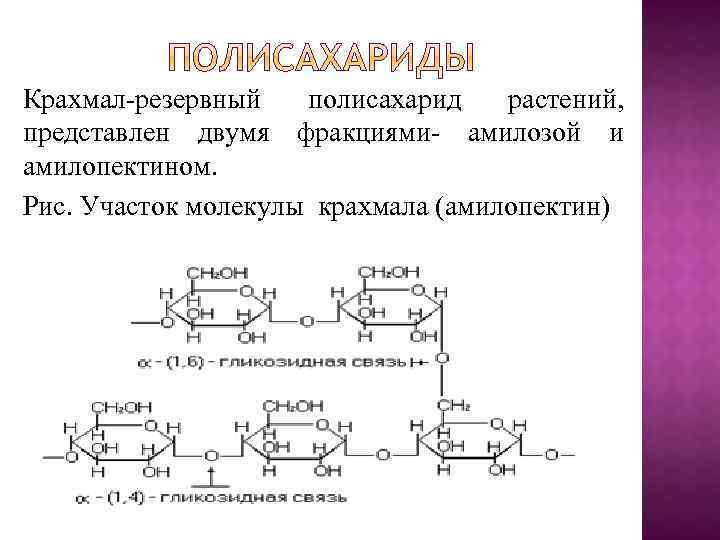 Крахмал-резервный полисахарид растений, представлен двумя фракциями- амилозой и амилопектином. Рис. Участок молекулы крахмала (амилопектин)
