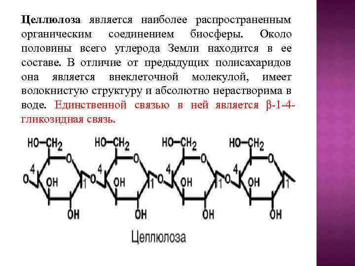 Целлюлоза является наиболее распространенным органическим соединением биосферы. Около половины всего углерода Земли находится в