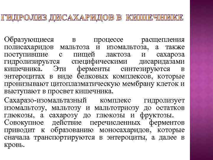 Образующиеся в процессе расщепления полисахаридов мальтоза и изомальтоза, а также поступившие с пищей лактоза