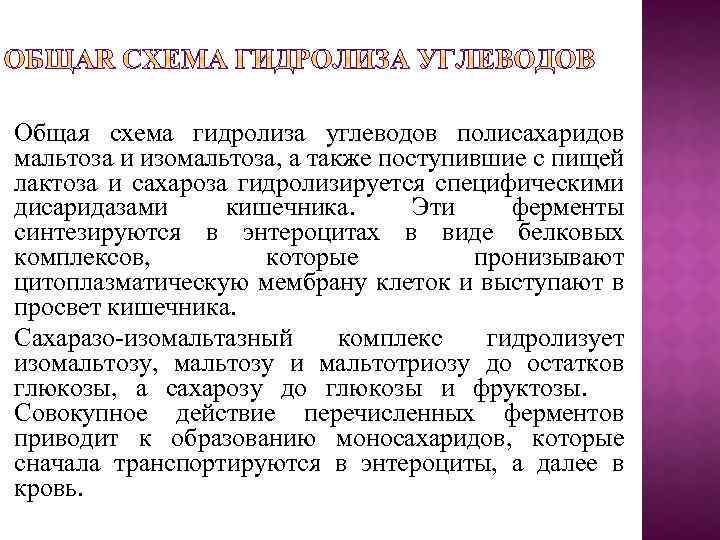 Общая схема гидролиза углеводов полисахаридов мальтоза и изомальтоза, а также поступившие с пищей лактоза