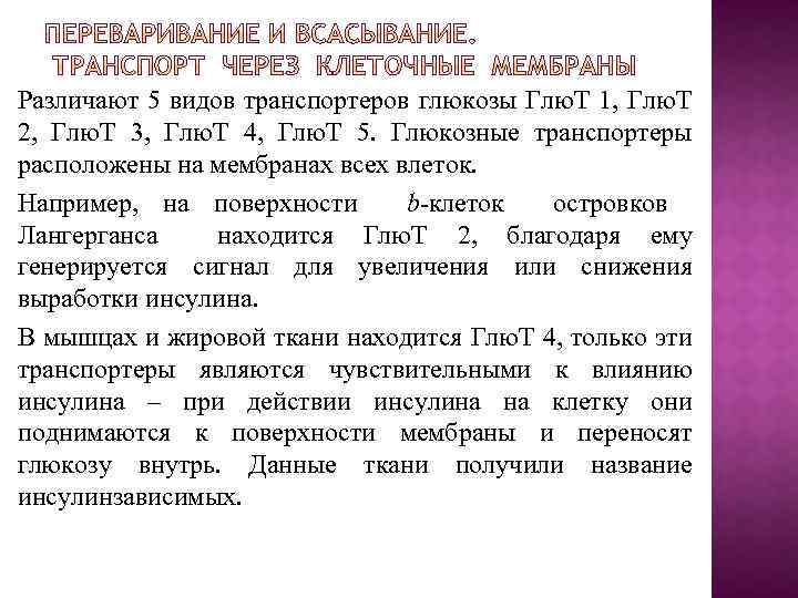 Различают 5 видов транспортеров глюкозы Глю. Т 1, Глю. Т 2, Глю. Т 3,