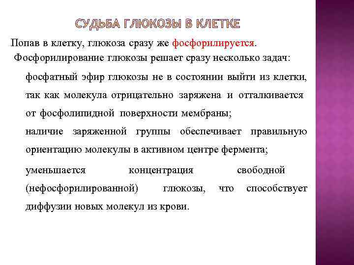 Попав в клетку, глюкоза сразу же фосфорилируется. Фосфорилирование глюкозы решает сразу несколько задач: фосфатный