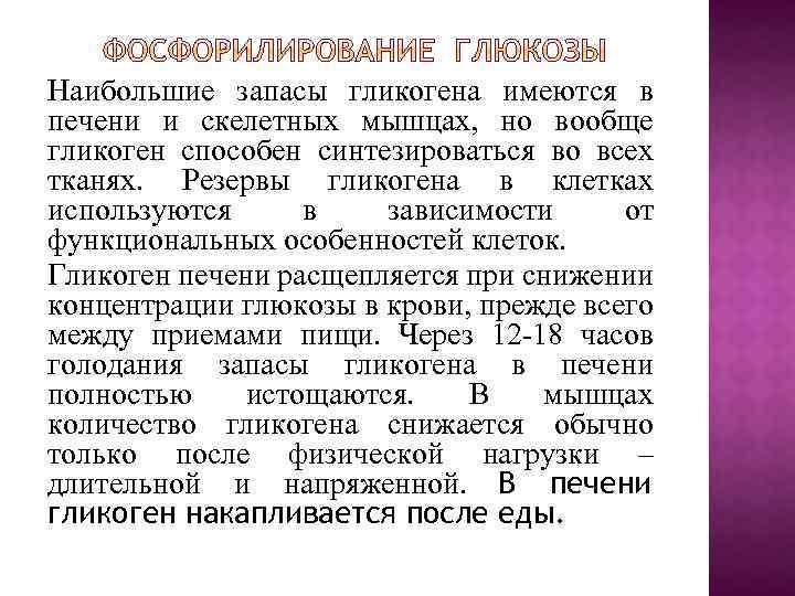 Наибольшие запасы гликогена имеются в печени и скелетных мышцах, но вообще гликоген способен синтезироваться