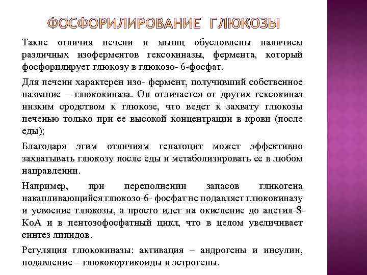 Такие отличия печени и мышц обусловлены наличием различных изоферментов гексокиназы, фермента, который фосфорилирует глюкозу