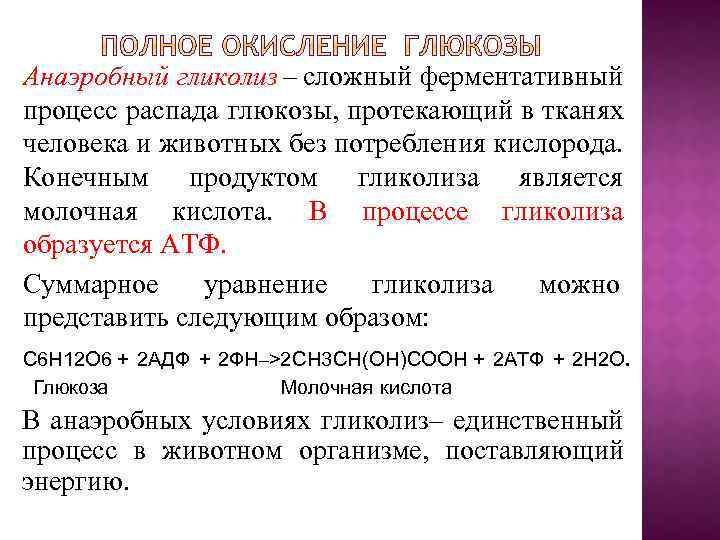 Анаэробный гликолиз – сложный ферментативный процесс распада глюкозы, протекающий в тканях человека и животных