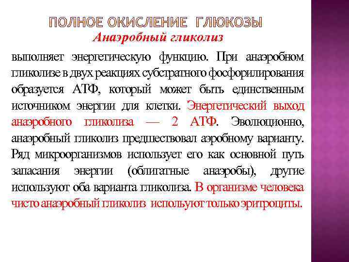 Анаэробный гликолиз выполняет энергетическую функцию. При анаэробном гликолизе в двух реакциях субстратного фосфорилирования образуется
