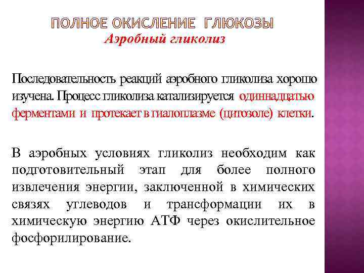 Аэробный гликолиз Последовательность реакций аэробного гликолиза хорошо изучена. Процесс гликолиза катализируется одиннадцатью ферментами и