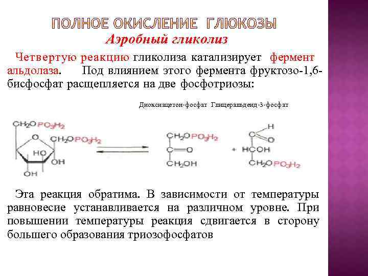 Аэробный гликолиз Четвертую реакцию гликолиза катализирует фермент альдолаза. Под влиянием этого фермента фруктозо-1, 6