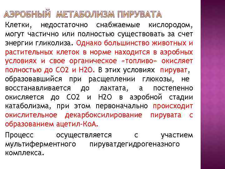 Клетки, недостаточно снабжаемые кислородом, могут частично или полностью существовать за счет энергии гликолиза. Однако