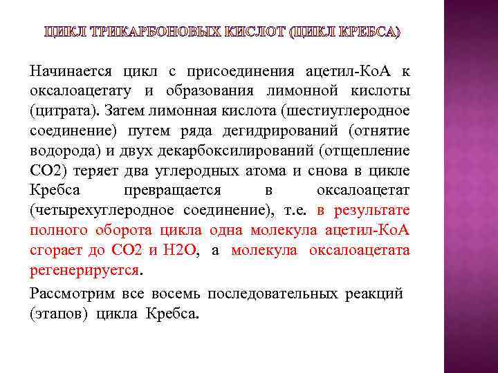 Начинается цикл с присоединения ацетил-Ко. А к оксалоацетату и образования лимонной кислоты (цитрата). Затем
