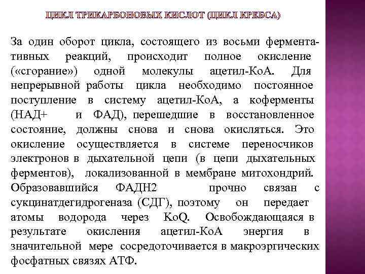 За один оборот цикла, состоящего из восьми фермента- тивных реакций, происходит полное окисление (