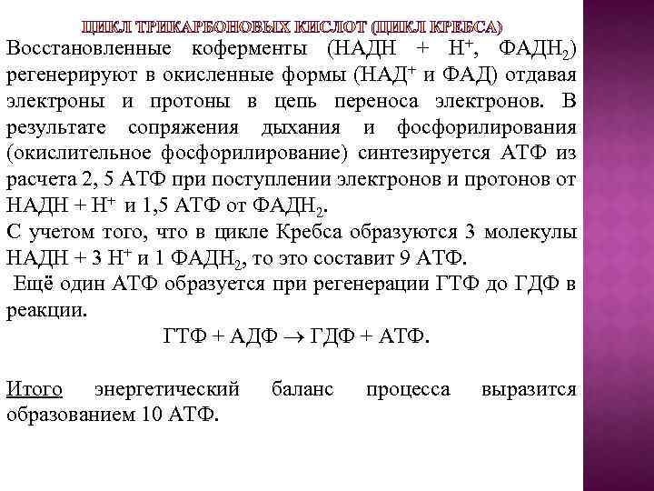 Восстановленные коферменты (НАДН + Н+, ФАДН 2) регенерируют в окисленные формы (НАД+ и ФАД)