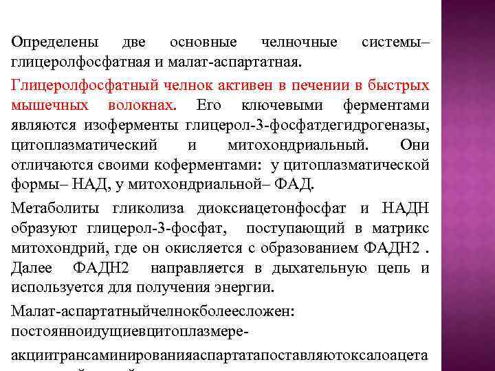 Определены две основные челночные системы– глицеролфосфатная и малат-аспартатная. Глицеролфосфатный челнок активен в печении в