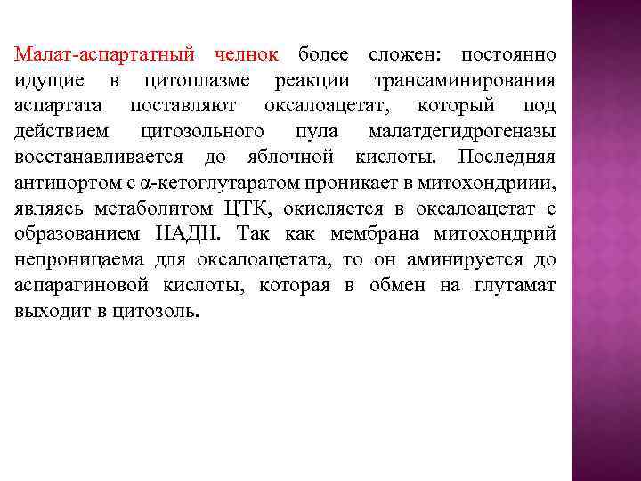Малат-аспартатный челнок более сложен: постоянно идущие в цитоплазме реакции трансаминирования аспартата поставляют оксалоацетат, который