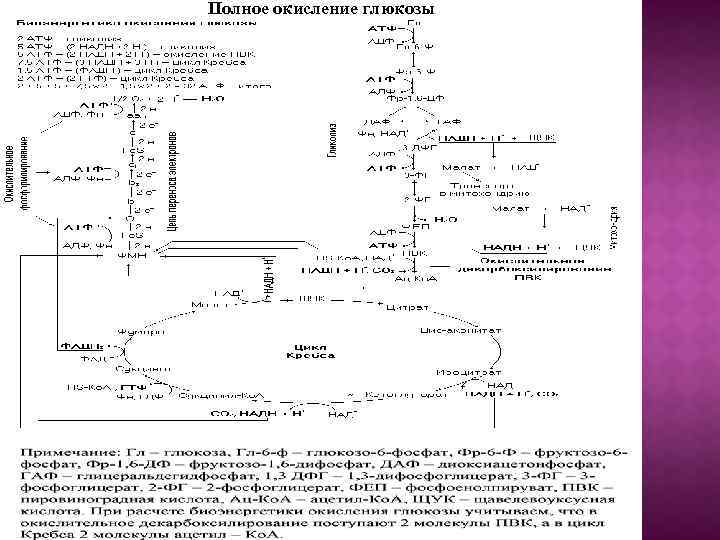 Окисление глюкозы кислородом