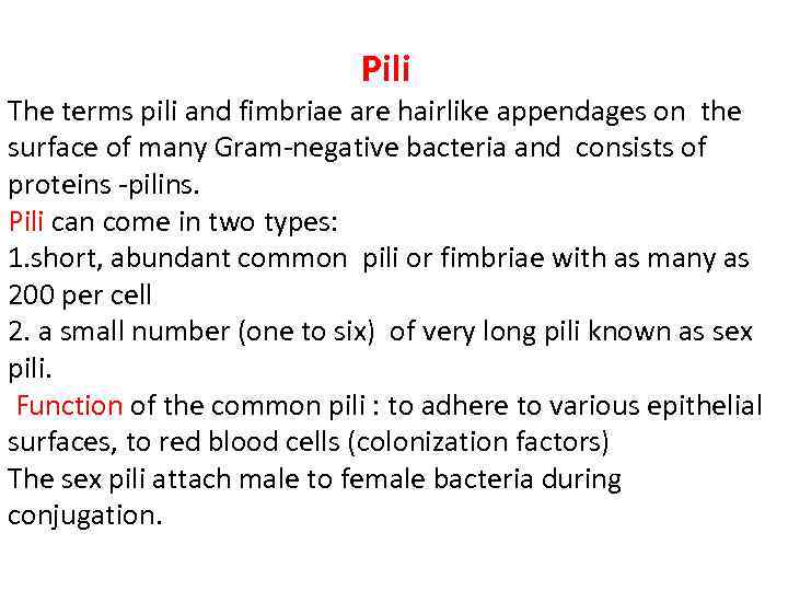Pili The terms pili and fimbriae are hairlike appendages on the surface of many