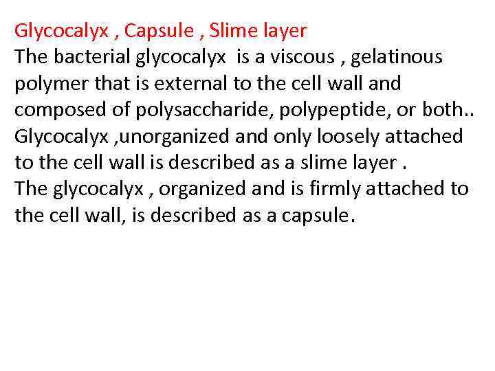 Introduction lecture The Subject and Problems of Microbiology