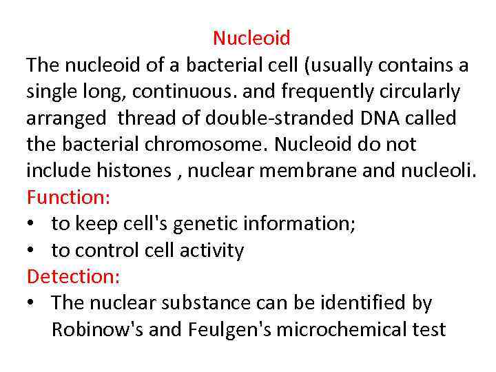 Nucleoid The nucleoid of a bacterial cell (usually contains a single long, continuous. and