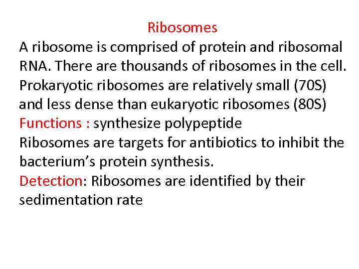 Ribosomes A ribosome is comprised of protein and ribosomal RNA. There are thousands of