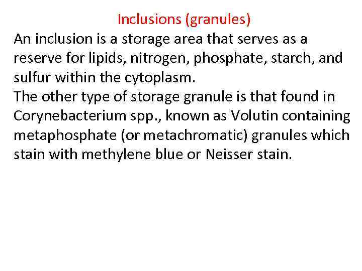 Inclusions (granules) An inclusion is a storage area that serves as a reserve for