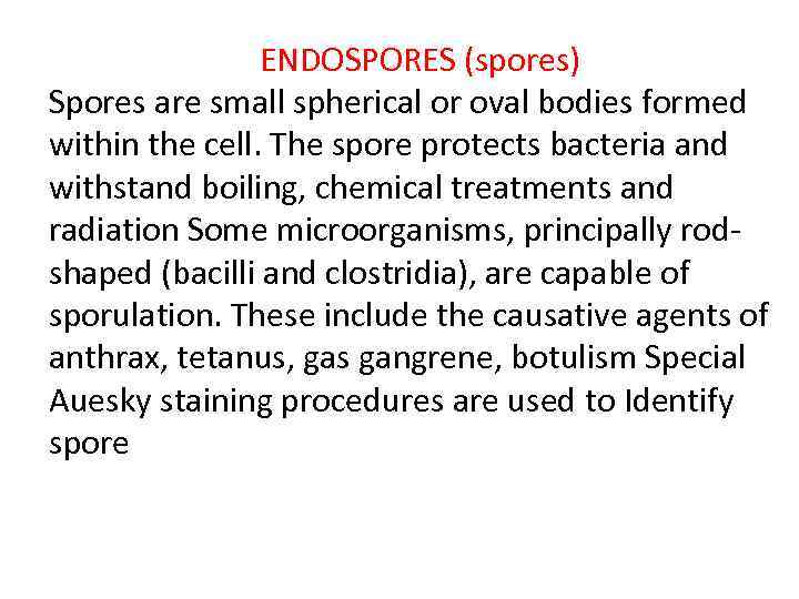 ENDOSPORES (spores) Spores are small spherical or oval bodies formed within the cell. The