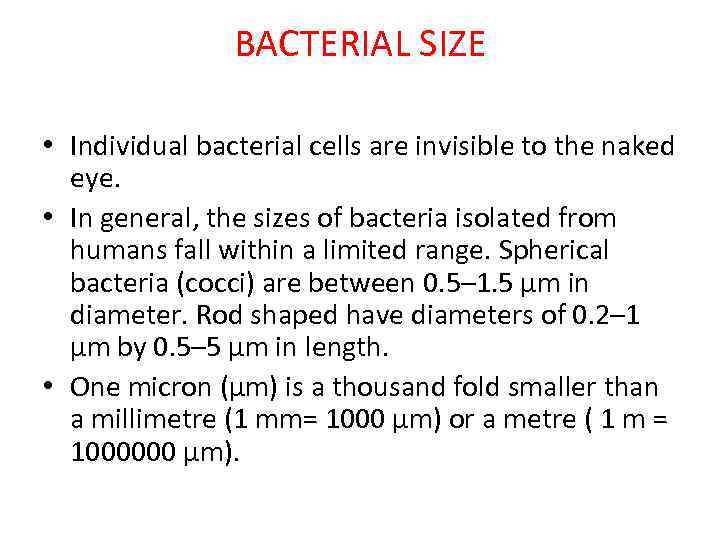 BACTERIAL SIZE • Individual bacterial cells are invisible to the naked eye. • In