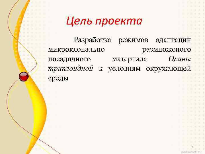 Цель проекта Разработка режимов адаптации микроклонально размноженого посадочного материала Осины триплоидной к условиям окружающей