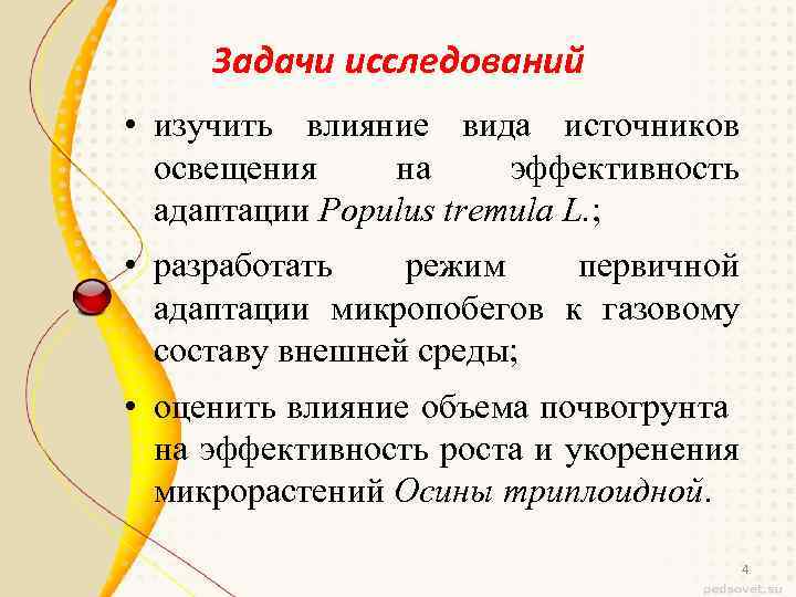 Задачи исследований • изучить влияние вида источников освещения на эффективность адаптации Populus tremula L.