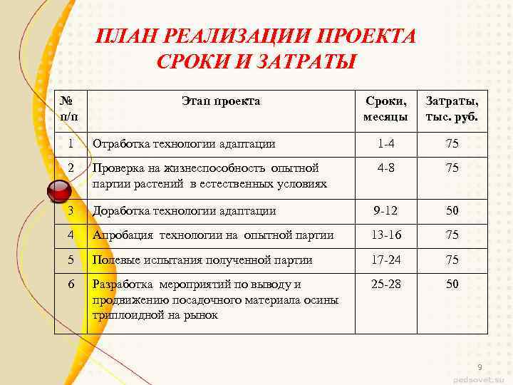 ПЛАН РЕАЛИЗАЦИИ ПРОЕКТА СРОКИ И ЗАТРАТЫ № п/п Этап проекта Сроки, месяцы Затраты, тыс.