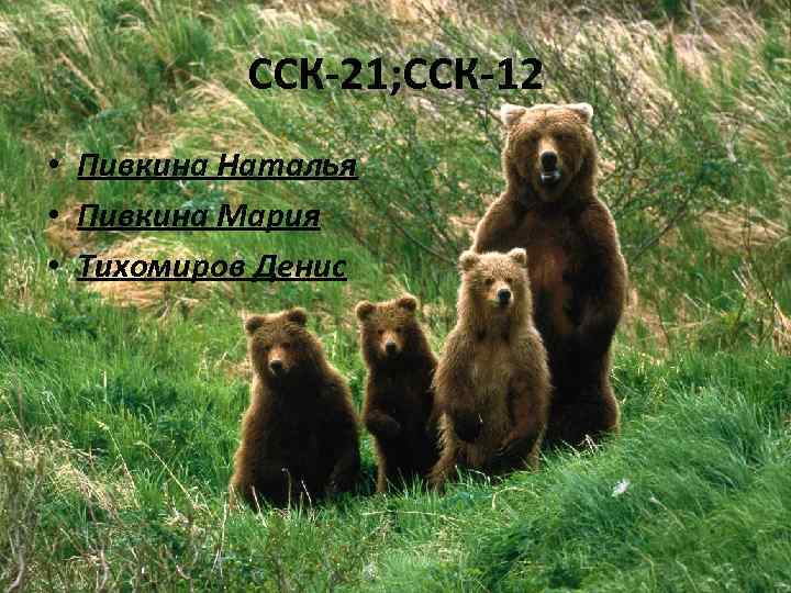 ССК-21; ССК-12 • Пивкина Наталья • Пивкина Мария • Тихомиров Денис 