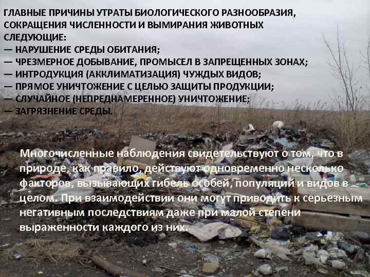 ГЛАВНЫЕ ПРИЧИНЫ УТРАТЫ БИОЛОГИЧЕСКОГО РАЗНООБРАЗИЯ, СОКРАЩЕНИЯ ЧИСЛЕННОСТИ И ВЫМИРАНИЯ ЖИВОТНЫХ СЛЕДУЮЩИЕ: — НАРУШЕНИЕ СРЕДЫ