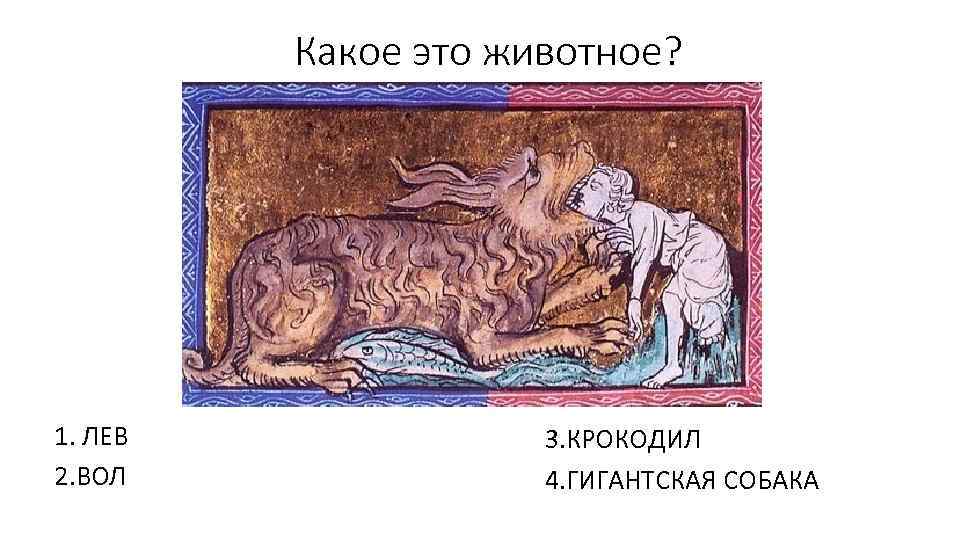 Какое это животное? 1. ЛЕВ 2. ВОЛ 3. КРОКОДИЛ 4. ГИГАНТСКАЯ СОБАКА 