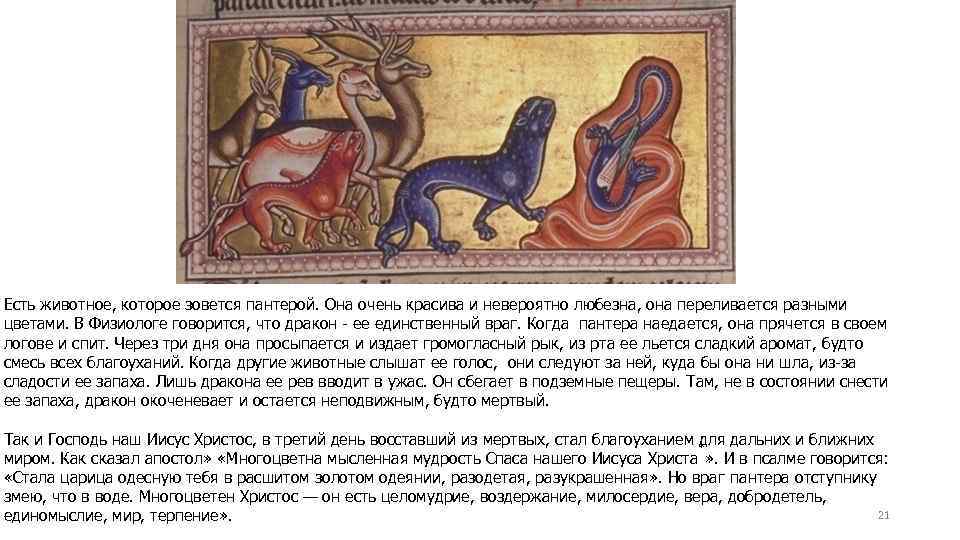 Есть животное, которое зовется пантерой. Она очень красива и невероятно любезна, она переливается разными