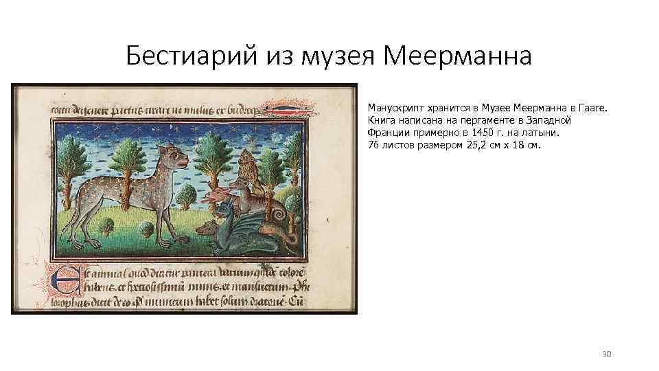 Бестиарий из музея Меерманна Манускрипт хранится в Музее Меерманна в Гааге. Книга написана на