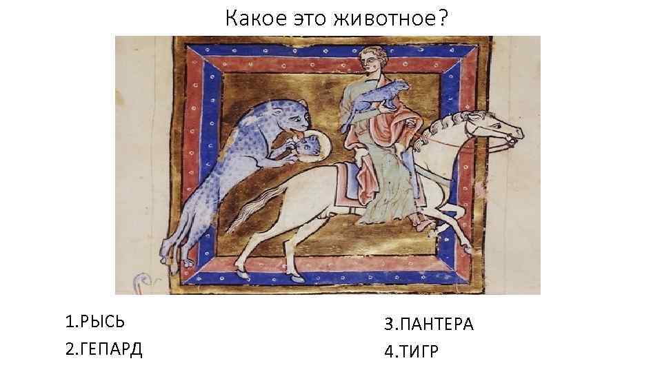 Какое это животное? 1. РЫСЬ 2. ГЕПАРД 3. ПАНТЕРА 4. ТИГР 