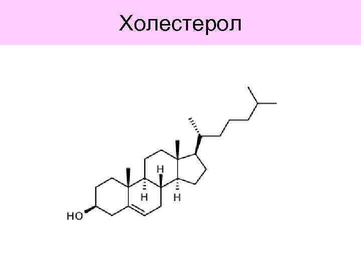Холестерол 
