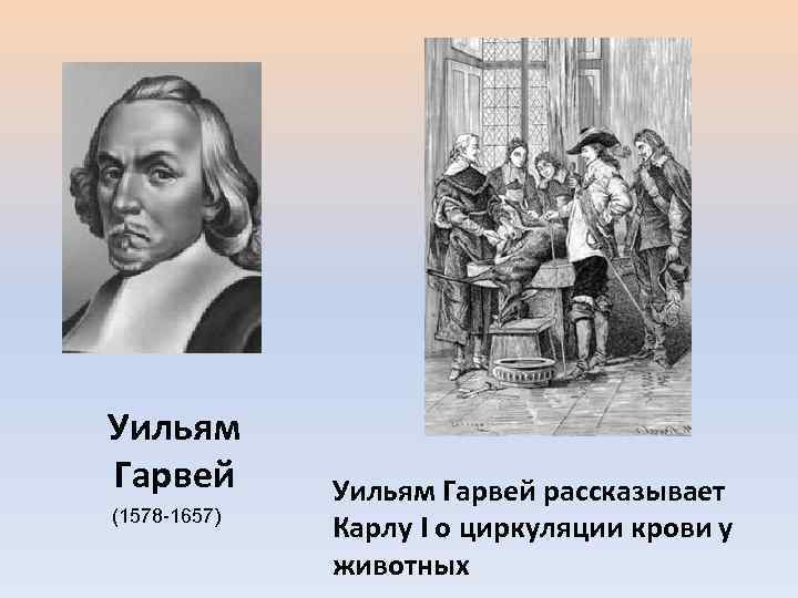 Уильям Гарвей (1578 -1657) Уильям Гарвей рассказывает Карлу I о циркуляции крови у животных