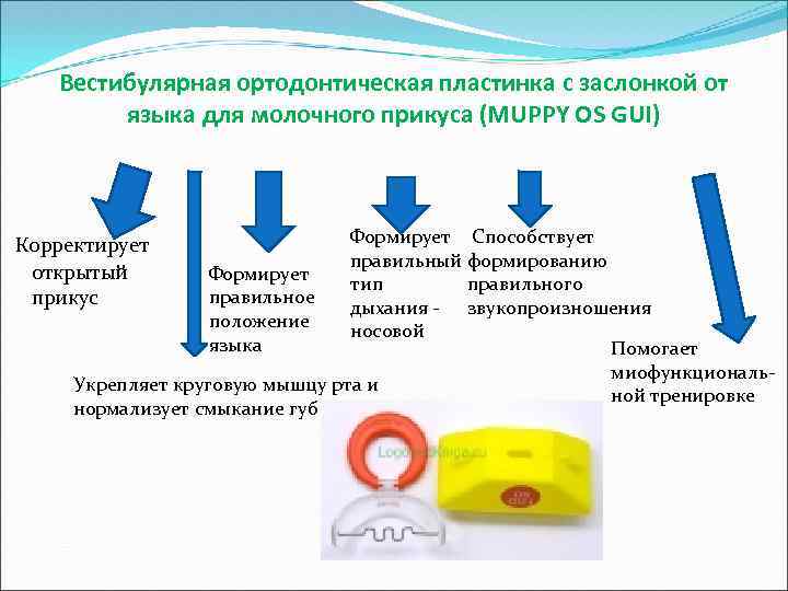 Вестибулярная ортодонтическая пластинка с заслонкой от языка для молочного прикуса (MUPPY OS GUI) Формирует