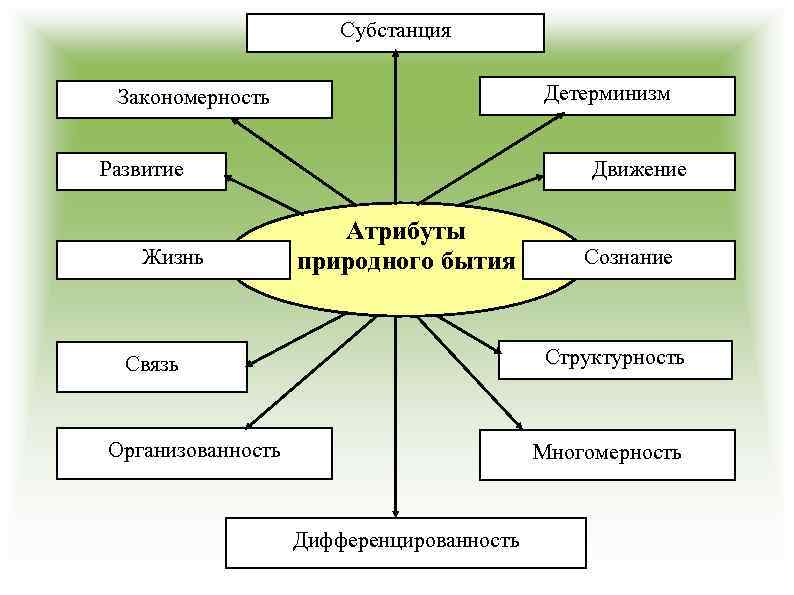 Субстанция Детерминизм Закономерность Развитие Жизнь Движение Атрибуты природного бытия Сознание Структурность Связь Организованность Многомерность