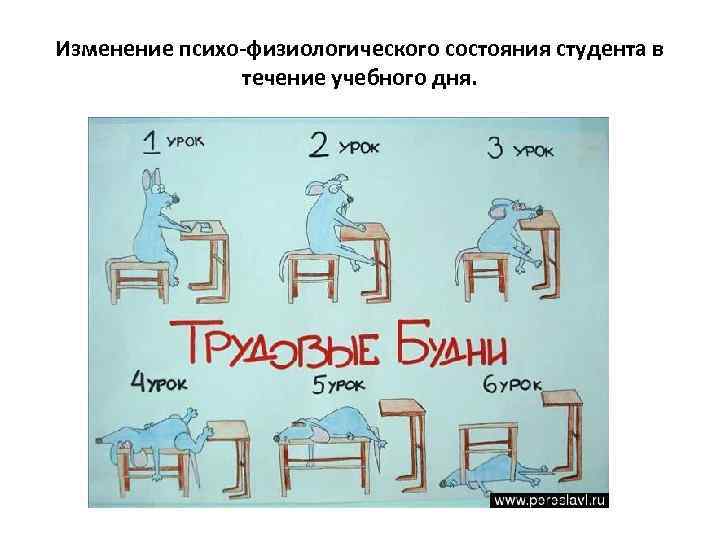 Изменение психо-физиологического состояния студента в течение учебного дня. 