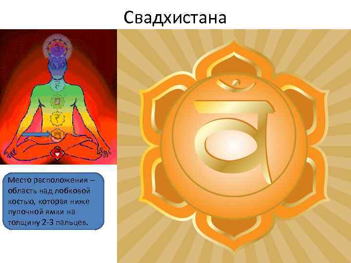 Свадхистана Место расположения – область над лобковой костью, которая ниже пупочной ямки на толщину