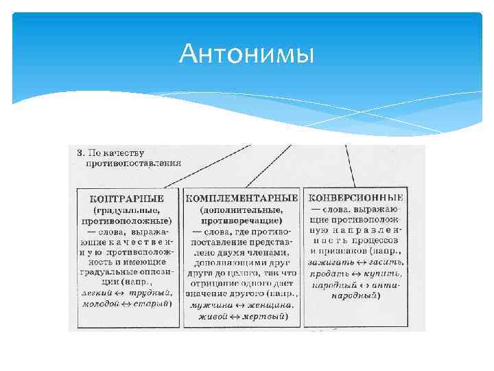 Антонимы 