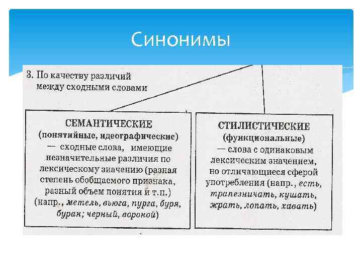 Синонимы 
