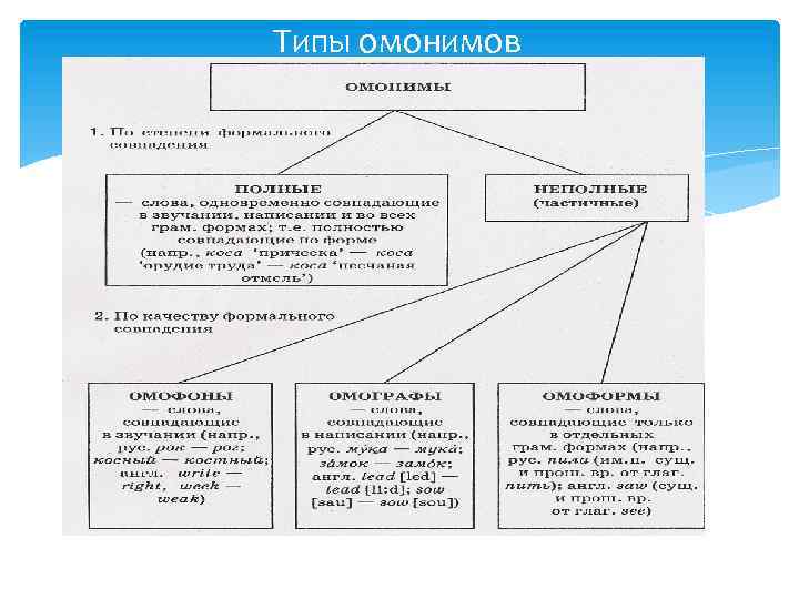 Типы омонимов 