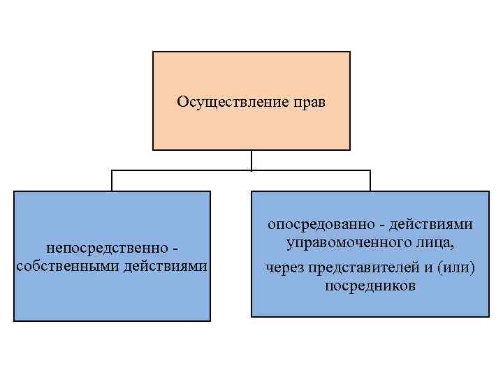Осуществление прав непосредственно собственными действиями опосредованно - действиями управомоченного лица, через представителей и (или)