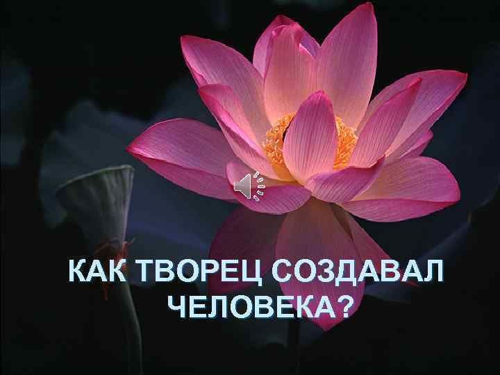 КАК ТВОРЕЦ СОЗДАВАЛ ЧЕЛОВЕКА? 