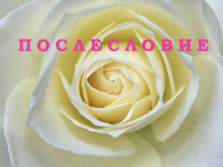 ПОСЛЕСЛОВИЕ 