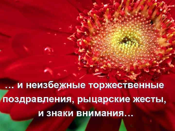 … и неизбежные торжественные поздравления, рыцарские жесты, и знаки внимания… 