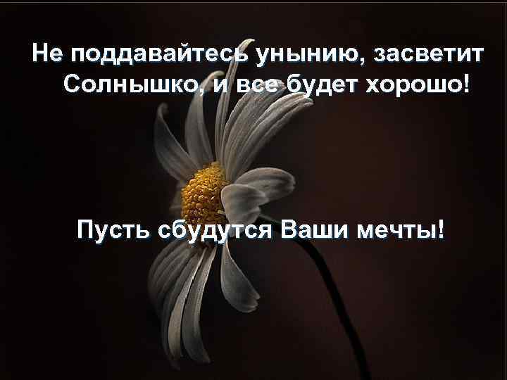 Не поддавайтесь унынию, засветит Солнышко, и все будет хорошо! Пусть сбудутся Ваши мечты! 